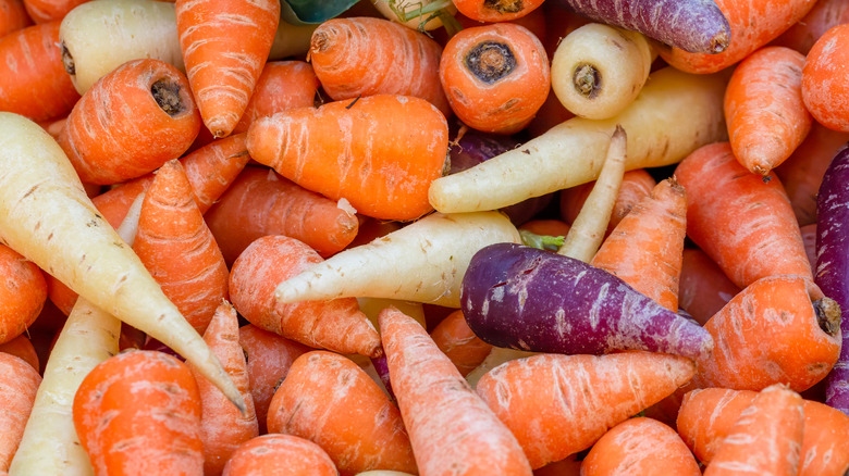 closeup image of orange, purple and white Chantenay carrots