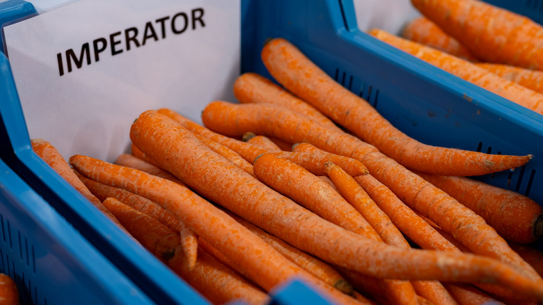 a display bin filled with Imperator carrots
