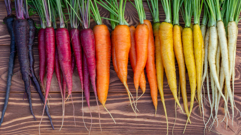 a row of multicolored carrots displayed in hue order