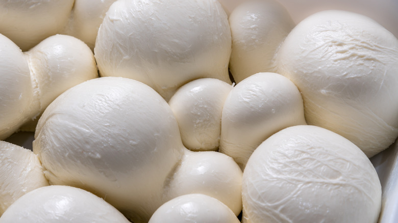 Numerous fior di latte balls nestled against one another