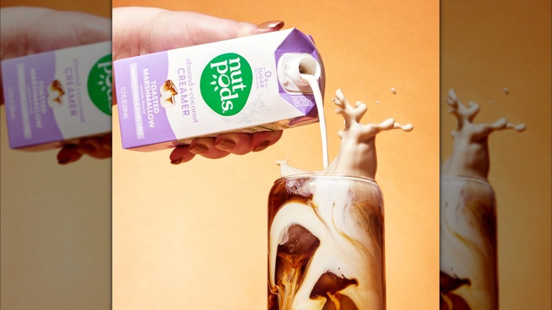person pouring nutpods toasted marshamallow creamer in ice coffee