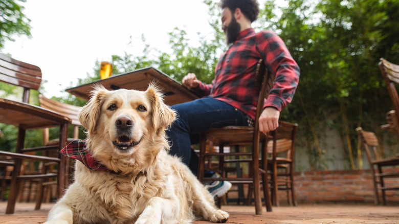 Dog and owner outside at brewery