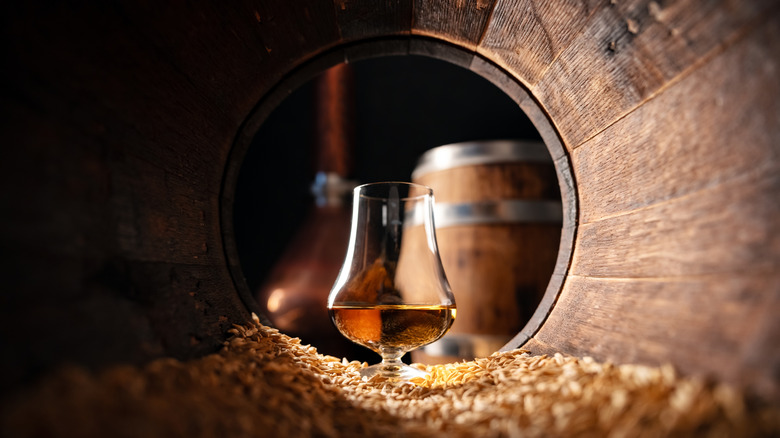 A filled glass of whiskey shown inside a barrel on a layer of grain with light shining through