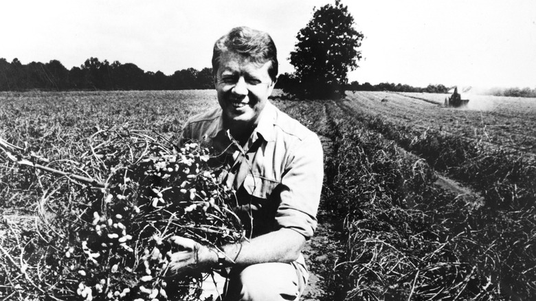 Jimmy Carter on his families peanut farm