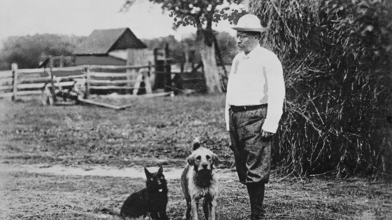 Theodore Roosevelt on his farm with his dogs