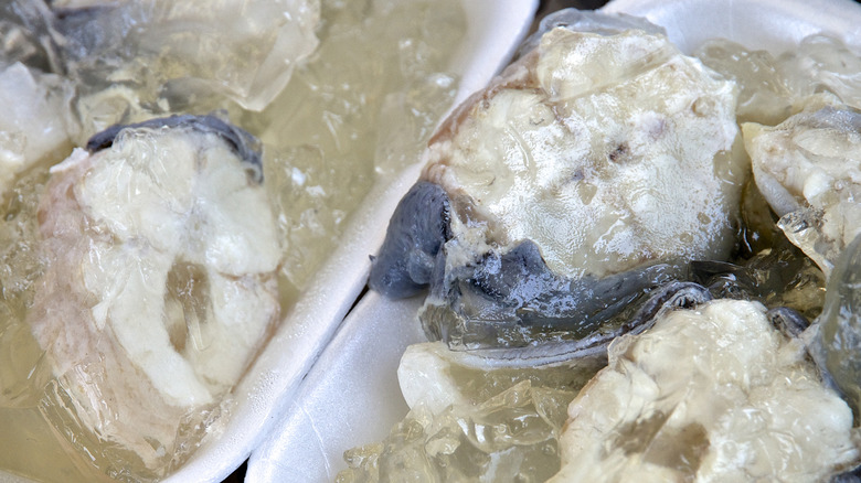 jellied eels for sale at a shop in Brighton, an English seaside resort town