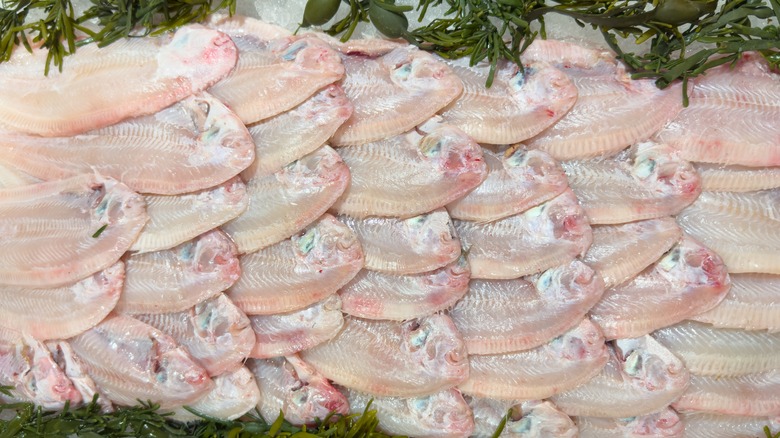 display of sole at a fishmonger, resting on ice and decorated with bladder-wrack (seaweed)
