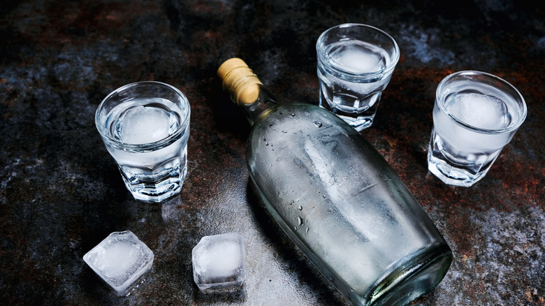 Bottle of vodka with shot glasses and ice
