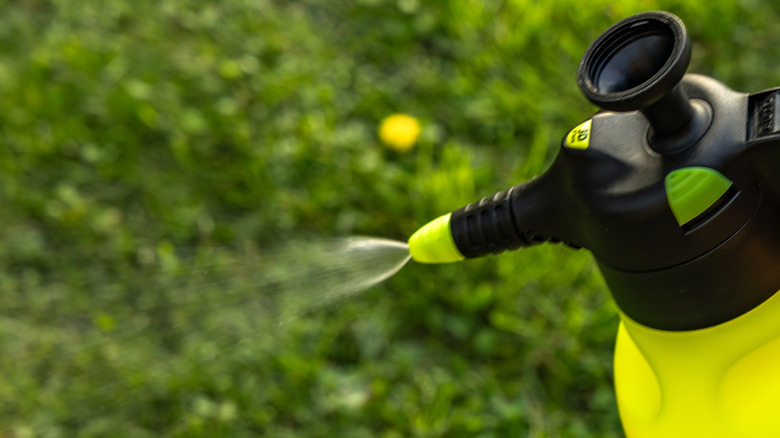 A close up of a yellow and black garden sprayer with a blurred background