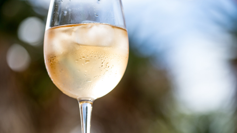 a glass of white wine with ice