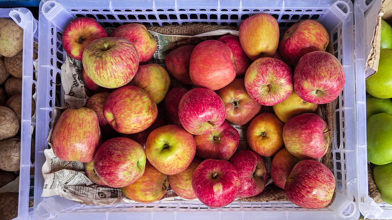 A top-down view of a basket of Honeycrisp apples.