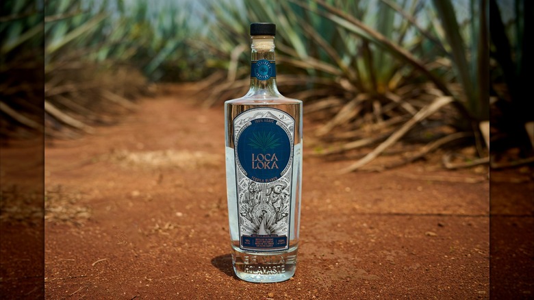 Bottle of Loca Loka blanco in an agave field