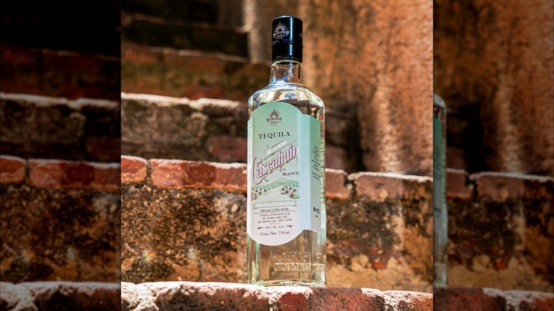 Bottle of White Cascahuin on stone stairs