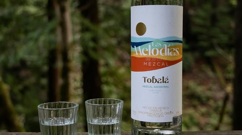 Bottle of Las Melodías De La Luna Mezcal and shot glasses