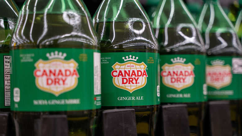 Close up of Canada Dry ginger ale bottles on store shelf.