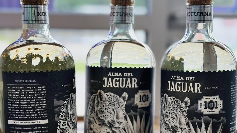 Three bottles of Alma del Jaguar Nocturna tequila