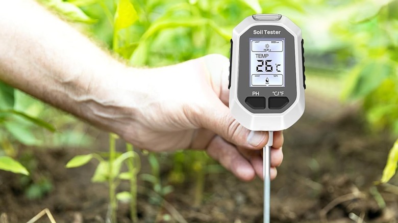 Hand holding a soil tester with temperature reading