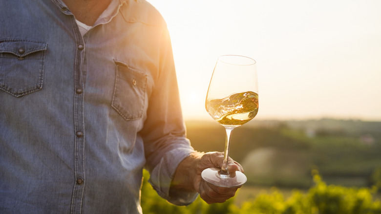 Winemaker swirling white wine in a glass in the vineyard