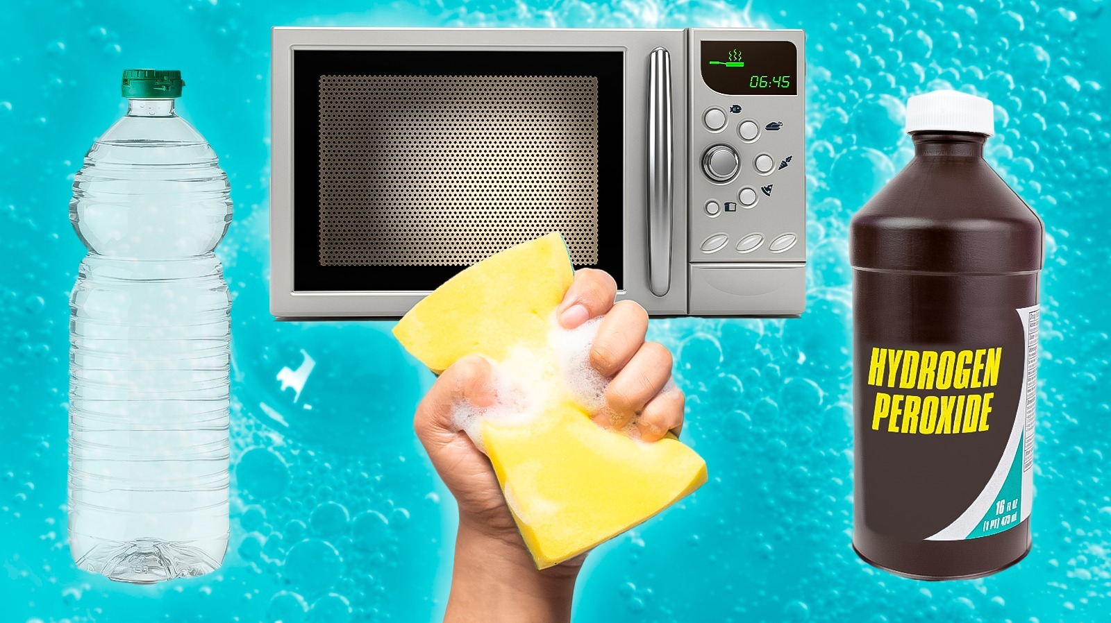 The 3 Best Ways to Keep a Sponge Clean