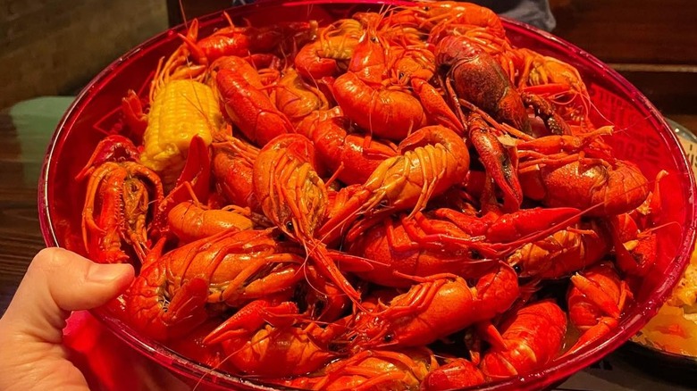 Hand holding a bowl of boiled Louisiana crawfish with corn cob