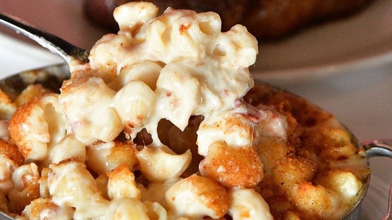 A spoonful of cheesy macaroni and cheese with lobster being lifted from a bowl