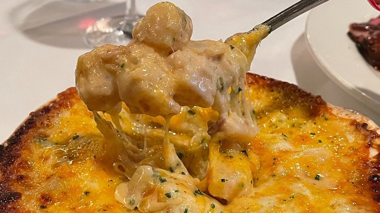 Cheesy potatoes being lifted from their dish with a fork