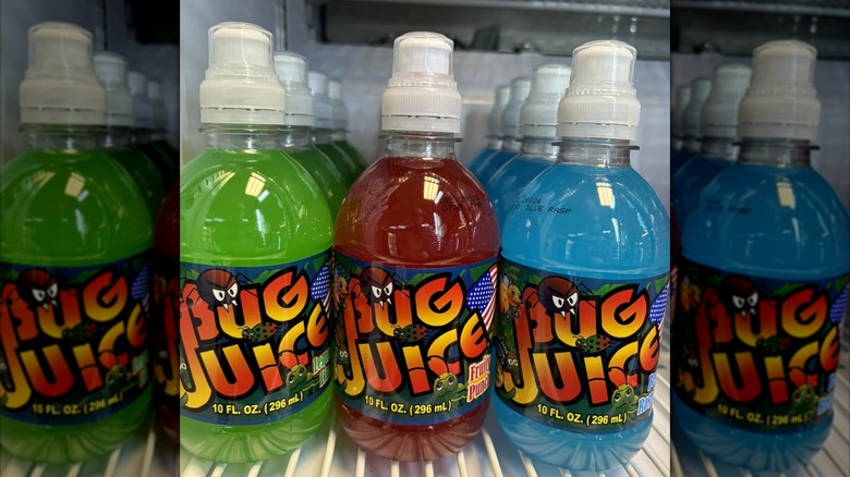 bottles of Bug Juice in a fridge