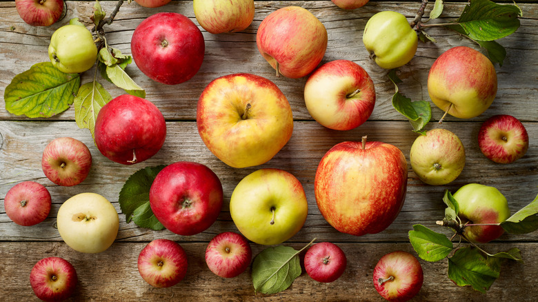 A variety of apples, twigs, and leaves against a wooden backdrop