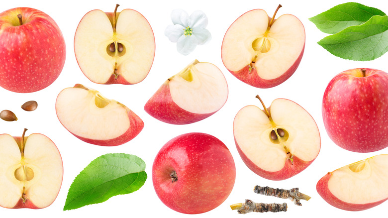 Whole and cut Pink Lady apples with leaves, twigs, seeds, and flowers against a white backdrop
