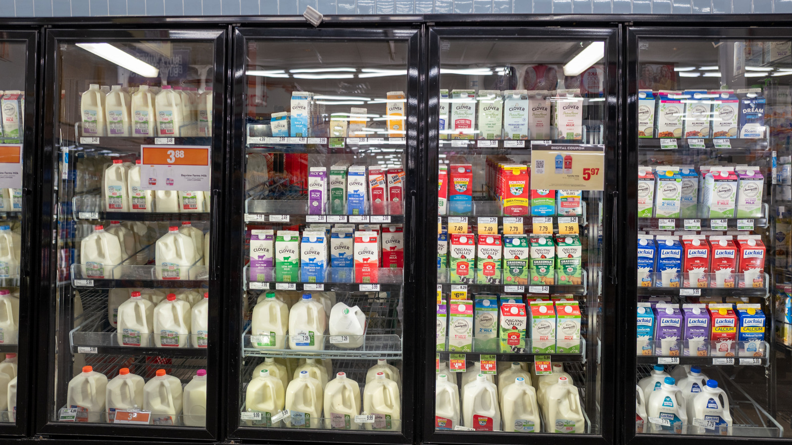 9 Creative Ways To Upgrade A Glass Of Milk (Beyond Chocolate Syrup) - Tasting Table