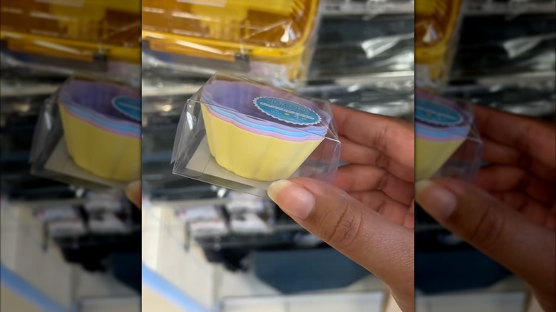 Handholding pastel silicone dish cups