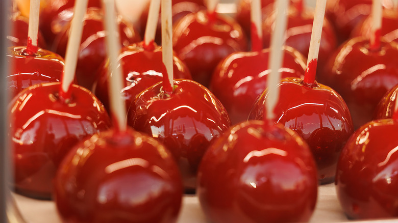 Close up of rows of candy apples