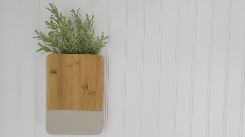 Wooden rectangular planter holding green herbal plant against white wall