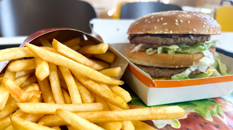 A Big Mac and fries from McDonald's