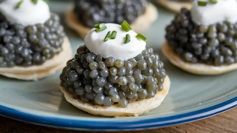 Close up of caviar blini on blue rimmed plate.