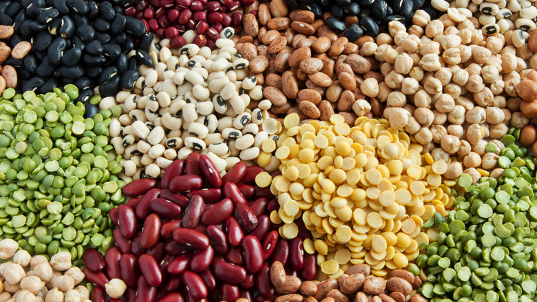 overhead view of various legumes