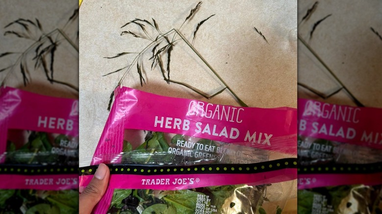 Trader Joe's bagged sald with random plant