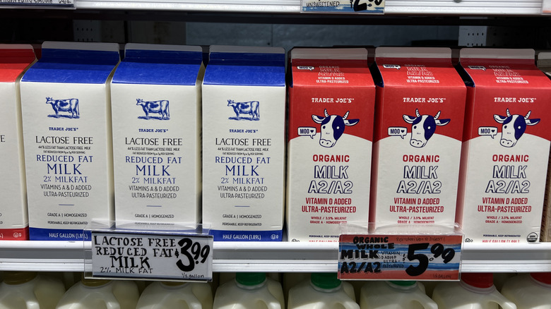 Cartons of Trader Joe's lactose free reduced fat milk and organic a2/a2 milk