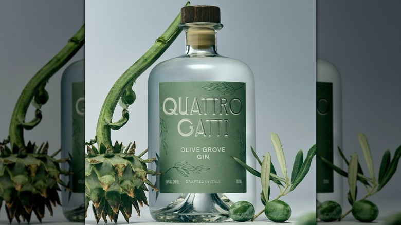 Quattro Gatti Olive Grove gin surrounded with botanicals olives and artichoke