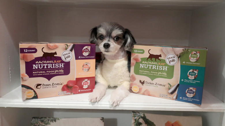 Dog with two boxes of Nutrish pet food