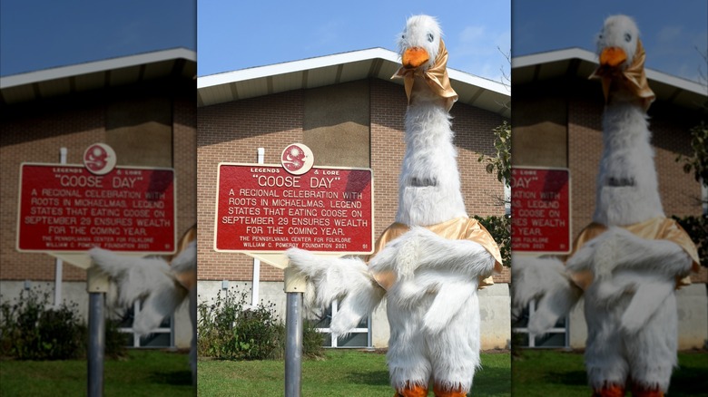 a goose mascot poses with a plaque explaining goose day