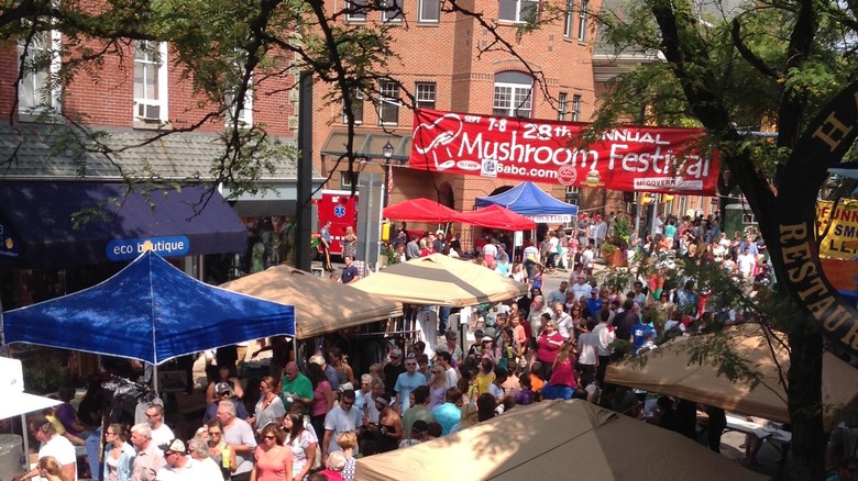 a street view of the Kennett Square Mushroom Festival