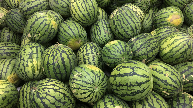 close up of big pile of watermelons