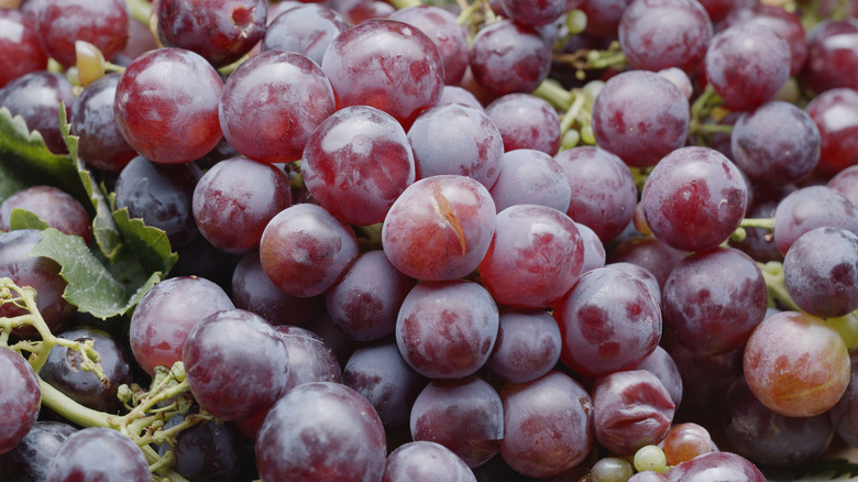 bunches of red grapes close up