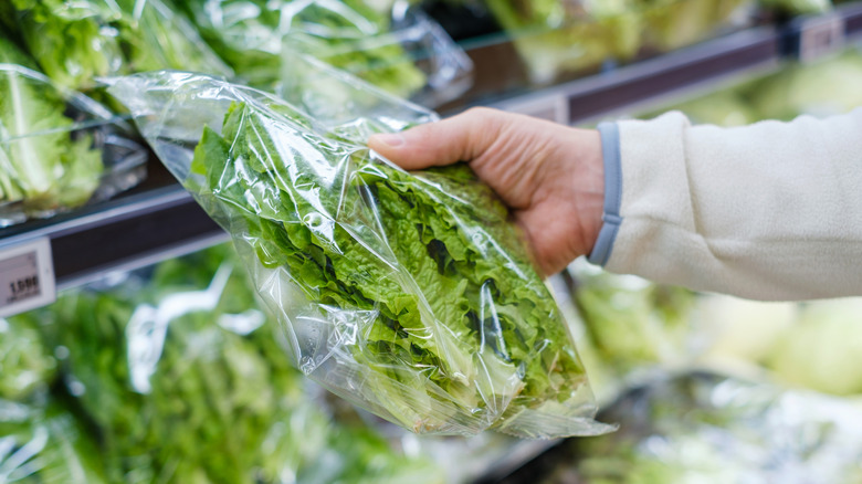 Male hand holding green lettuce leaves in a supermarket close-up