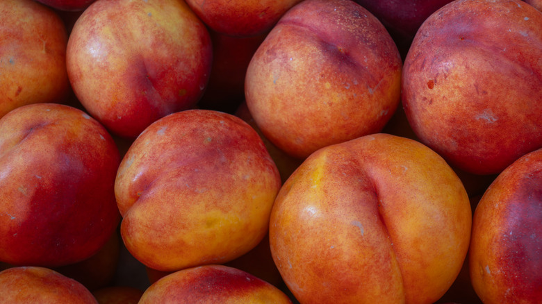 Closeup of pile of ripe nectarines