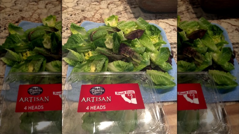 Mirrored image of empty packet of Artisan Lettuce in front of lettuce on a blue towel on a table
