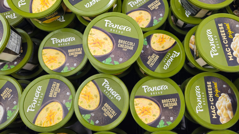 Several containers of Panera broccoli cheddar soup