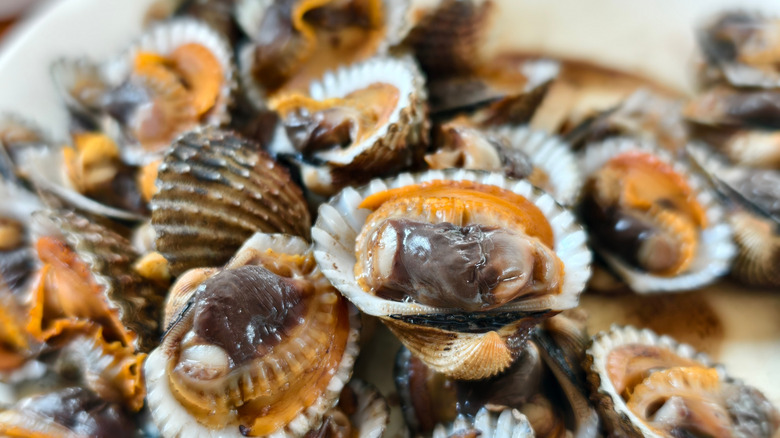 Boiled fresh cockles