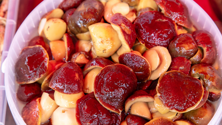 Salted mushrooms in a barrel